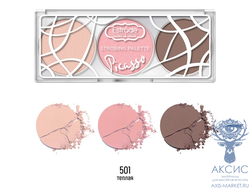 Estrade Палетка для стробинга PICASSO тон 501 (теплая)