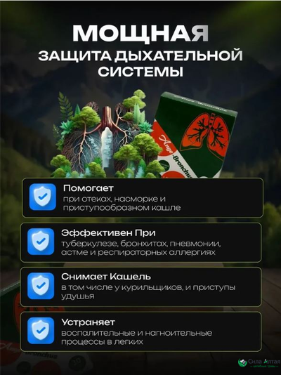 Анге-Бронхус чистые бронхи, новые легкие