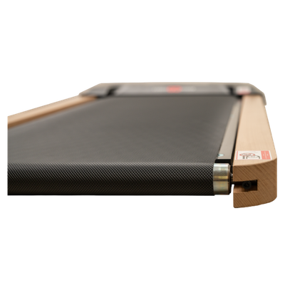 Беговая дорожка CardioPower TT