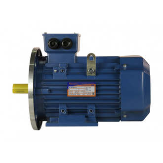 Электродвигатель 5АИ 100S4 (3 кВт) IM 2081