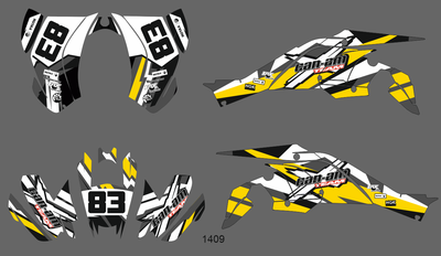 Can-am BPR DS 450 #1409