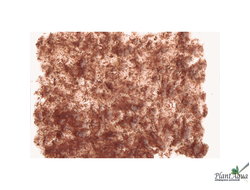 Tetra FreshDelica Brine Shrimps (желе артемии)  48г