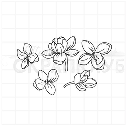 Штамп Цветы сирени