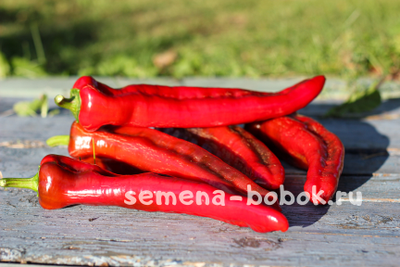 Перец сладкий The Godfather (Крестный Отец), 10 шт