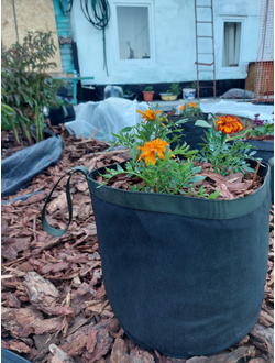 Кашпо 4 литра напольное. Умный тканевый горшок Гроубэг