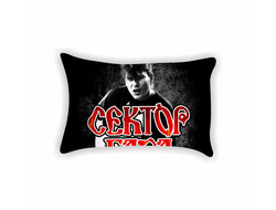 Подушки Сектор Газа, Юрий Хой