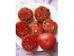 Томат Гном Мгла Винса (Dwarf Vince’s Haze)