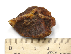 Янтарь, необработанный "дикий" образец, Россия, Калининградская область (39*30*18 мм, 7,8 г) №26226