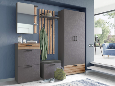 Набор мебели для прихожей Денвер 401 170