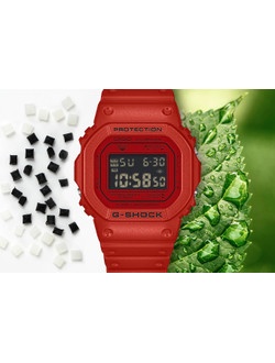 Часы Casio G-Shock DW-5600RRB-4