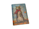 Обложка на паспорт с принтом "Кот в шарфе"