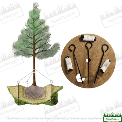 Анкер для растяжки деревьев комплект "Terra Line 500"