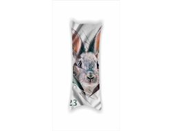 Дакимакура год Кролика №13