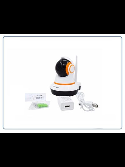 Zjuxin. Видеоняня моторизированная WiFi/LAN видеокамера с DVR, HD 960р (icSee)