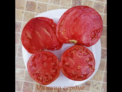Томат Мамино сердце (Mom’s Heart) Румыния