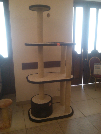 №163 Игровой комплекс Победа