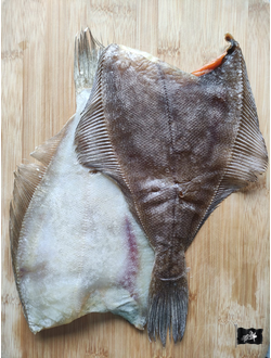 Камбала ЁРШ