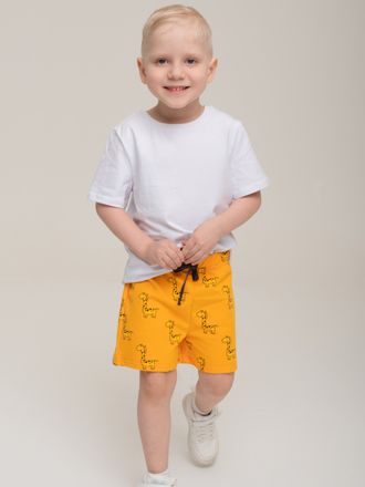 Шорты Egoza ш330-043