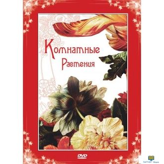 Комнатные растения CD