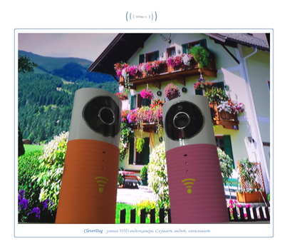 Видеоняня /WiFi видеокамера CleverDog Rose с DVR