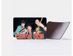 Магнит виниловый Сектор Газа, Юрий Хой №9