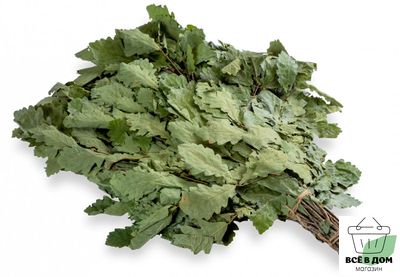 Веник дубовый