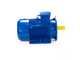 Электродвигатель АИС 100LB4 (3 кВт) IM B35