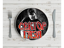 Тарелка Сектор Газа, Юрий Хой №20