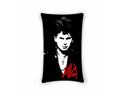 Подушка Сектор Газа, Юрий Хой №39