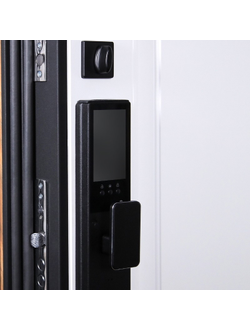 Стальная дверь   Plata (биометрический замок Smart lock Y23)