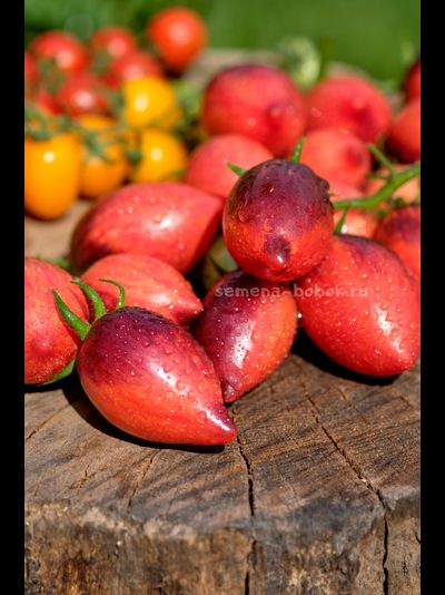 Томат Загадка Клубничного Водопада
