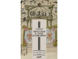 Сюрреализм в стране большевиков. А. Селиванова, Н. Плунгян