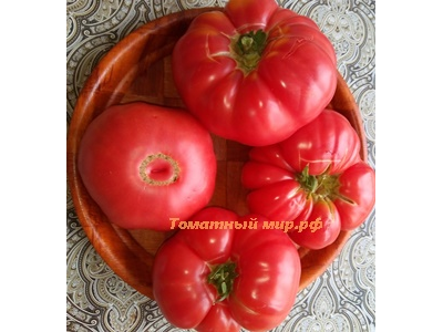 Томат Бабушка Бейкера (Grandma Baker's)