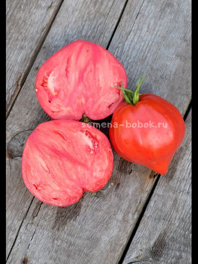 Томат Большая Красная Долли ( Big Dolly Red)