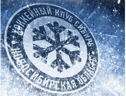 Для дома ХК СИБИРЬ