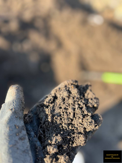 коровий навоз перегной