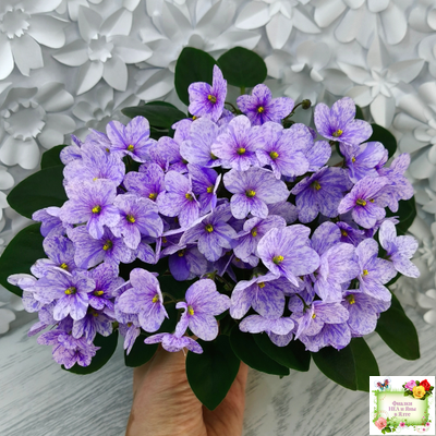 ГЕА-Весёлый Клоун (Е. Галицкая) 2024 г. трейлер (пасынок посажен 20.01.26)