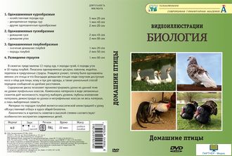 Домашние птицы (8 сюжетов, 22 мин), DVD-диск