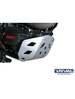 Защита двигателя Rival 444.9801.1 для IRBIS TTR 250R 2016- (Алюминий) (400*320*200)