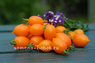 Томат Юстина (Justyna), 10 шт