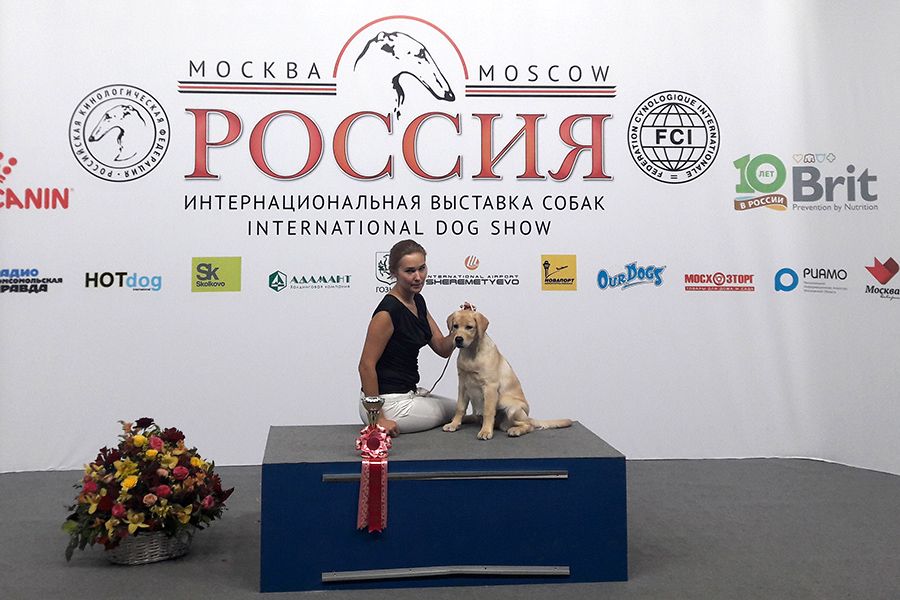 Линора Бест Танси Роуз