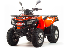 Квадроцикл MOTOLAND ATV 200 MAX низкая цена