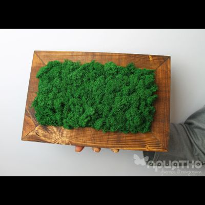 ЖИВАЯ ЭКО-КАРТИНА 1046