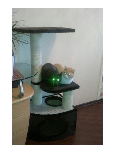 Домик для кошки Любимый №041