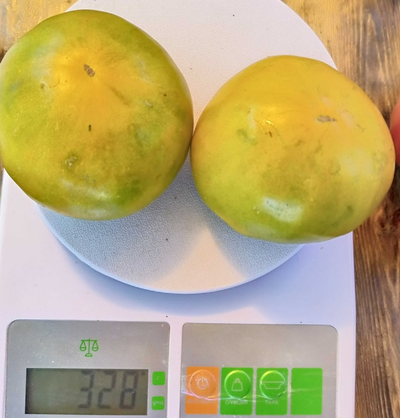 Томат Зеленый ананас (Green Pineapple), США