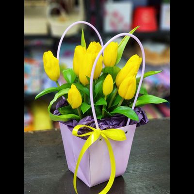 Композиция