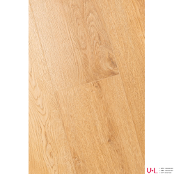 SPC ламинат FirstFloor Дуб Жасмин Светлый 1F065