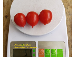Томат Принц Боргезе (Principe Borghese, Италия)