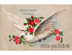 Поздравительные 1001