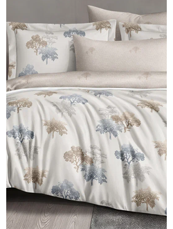 Постельное белье Cleo полутороспальное сатин 145х215х1 150х220х1 70х70х2 15/028-SL